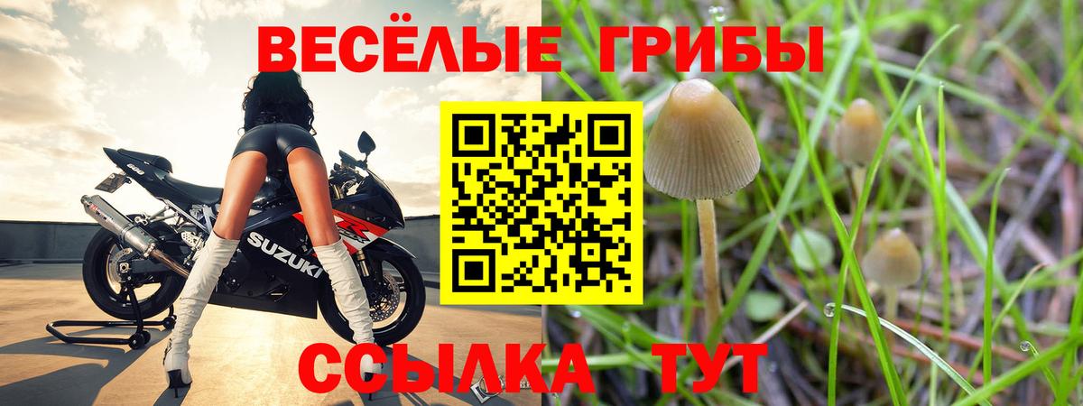 Протвино  Псилоцибиновые грибы ЛСД  Вход с VPN 