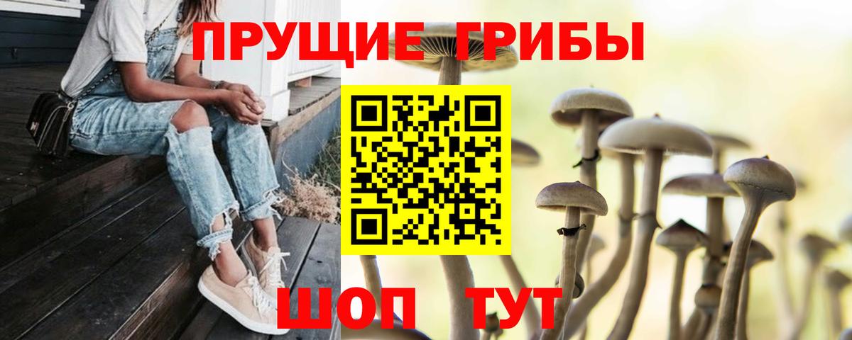 Галлюциногенные грибы ЛСД Протвино